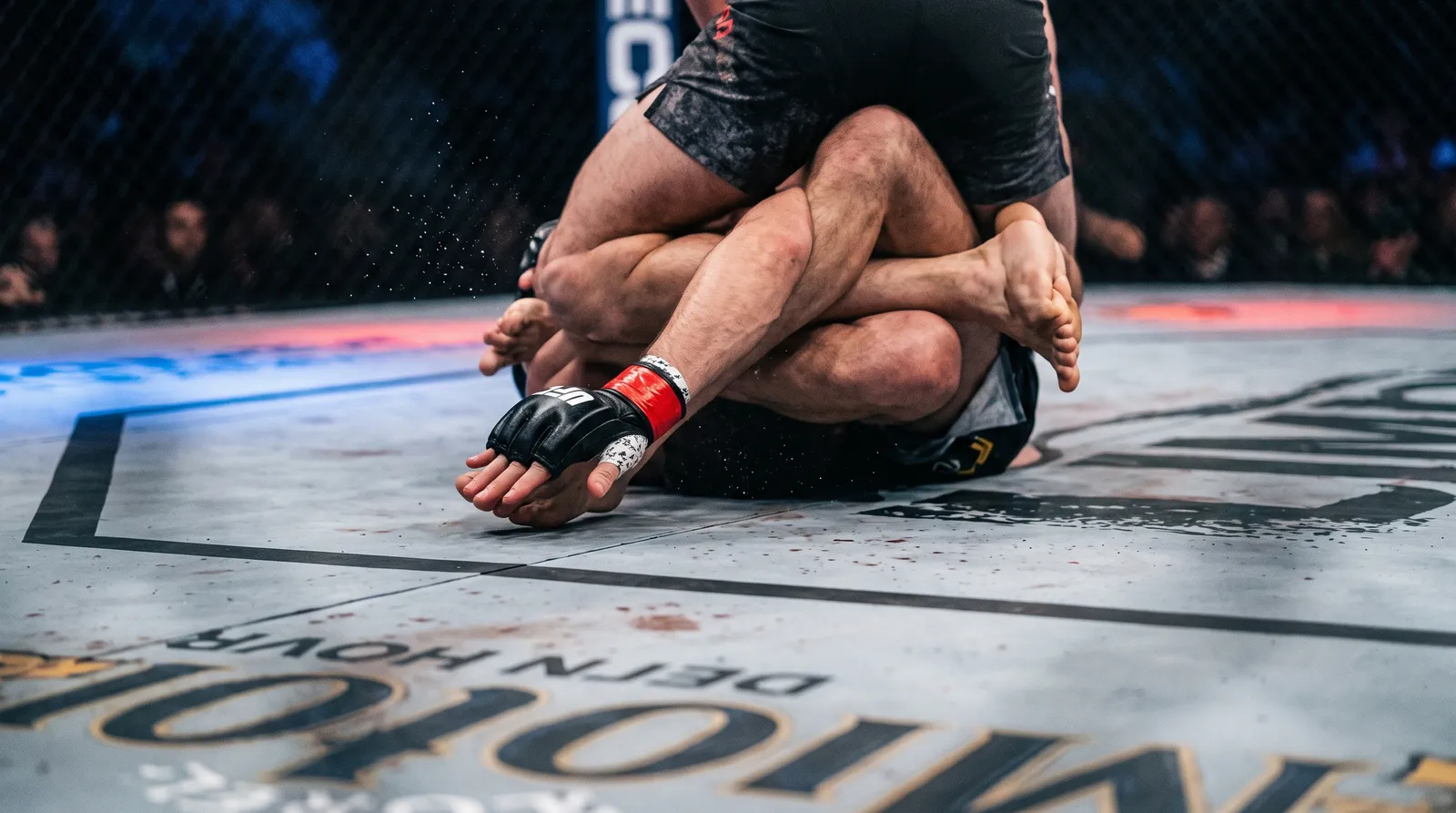 Overhead view of a fighter tapping the canvas while caught in a triangle choke