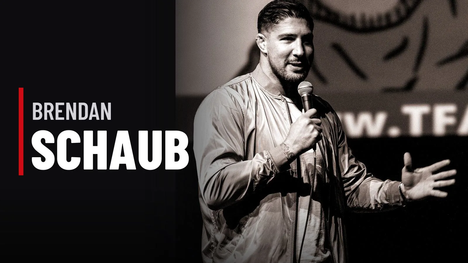 Brendan Schaub