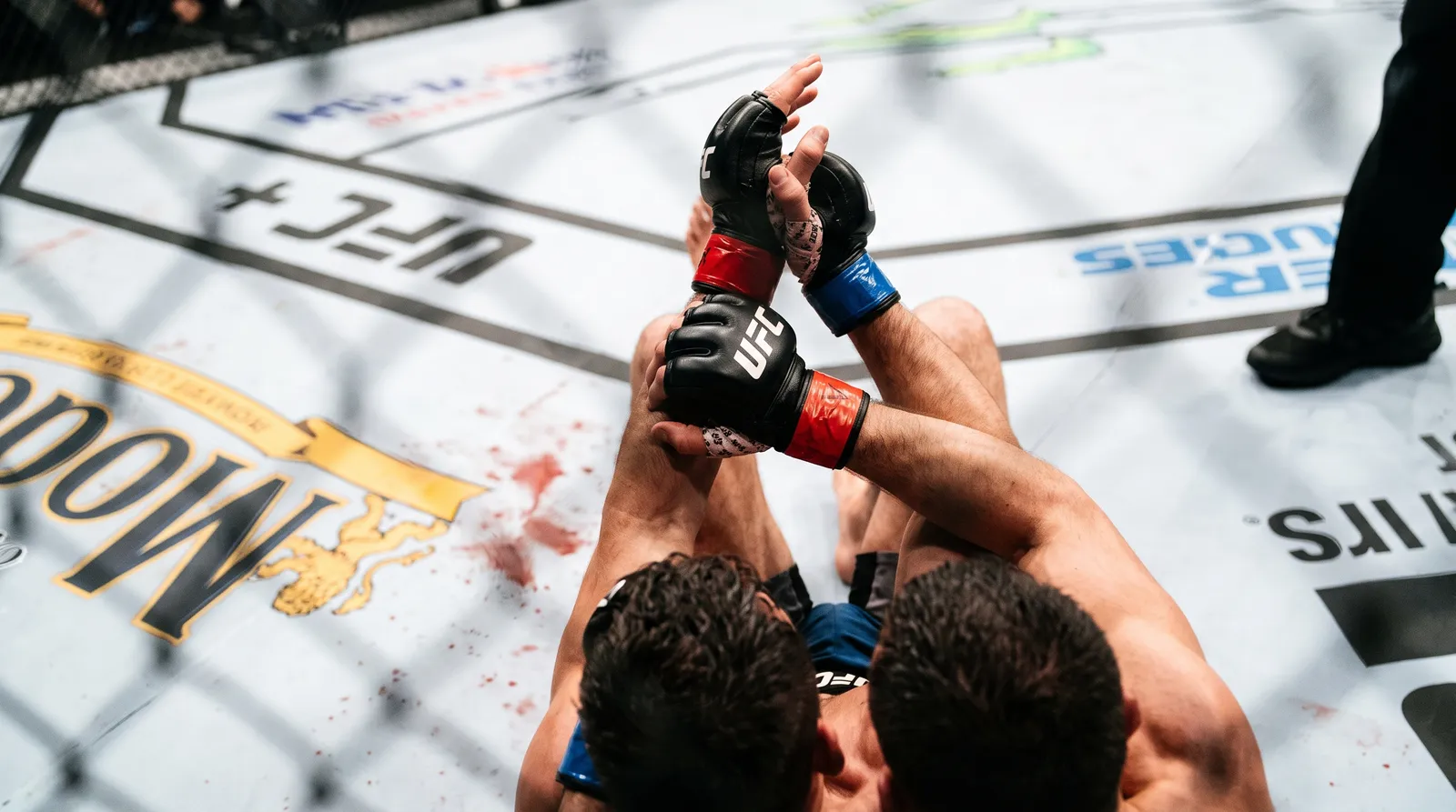 Two fighters' arms locked in a kimura on a bloodied Octagon canvas