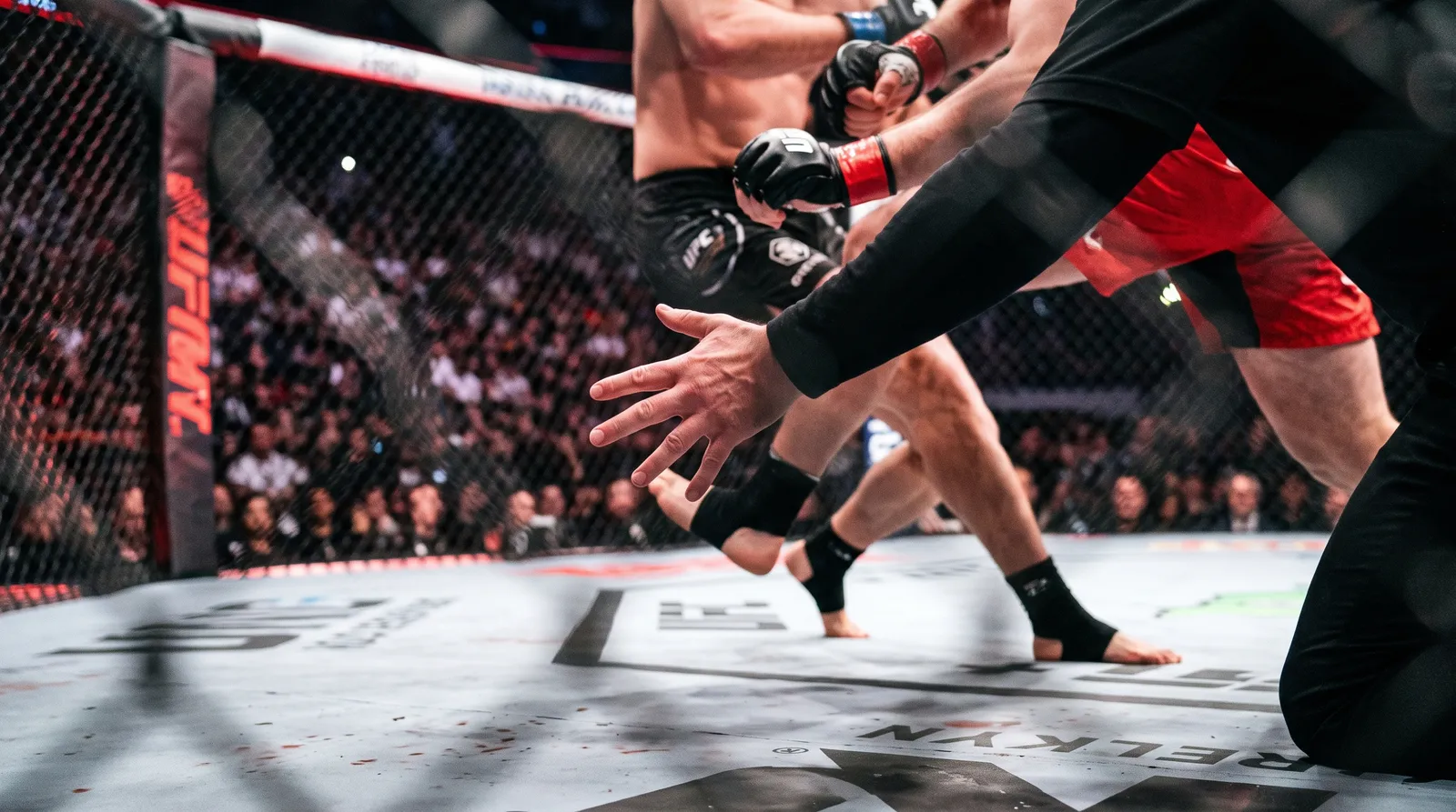 A referee's hand separates two fighters' gloves after an early stoppage in the cage