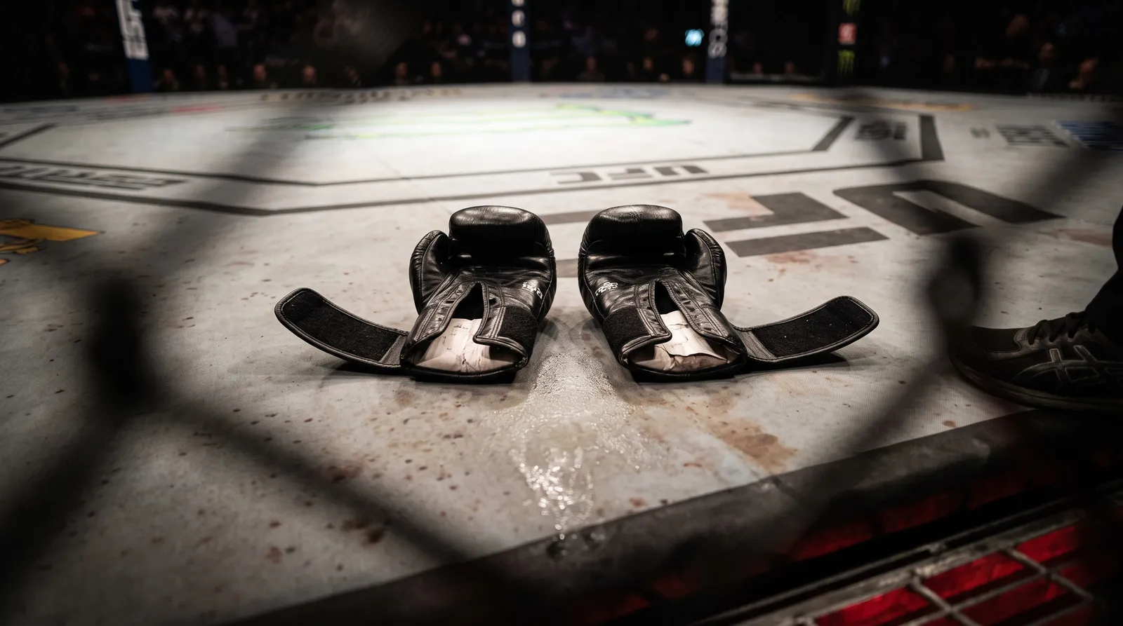 A pair of MMA gloves left lying on the octagon canvas under bright arena lights