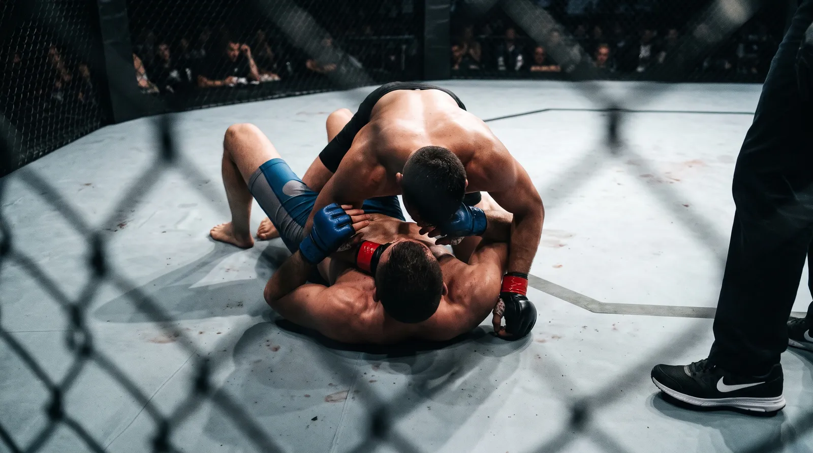 Overhead view of one fighter holding full mount on another on the octagon canvas