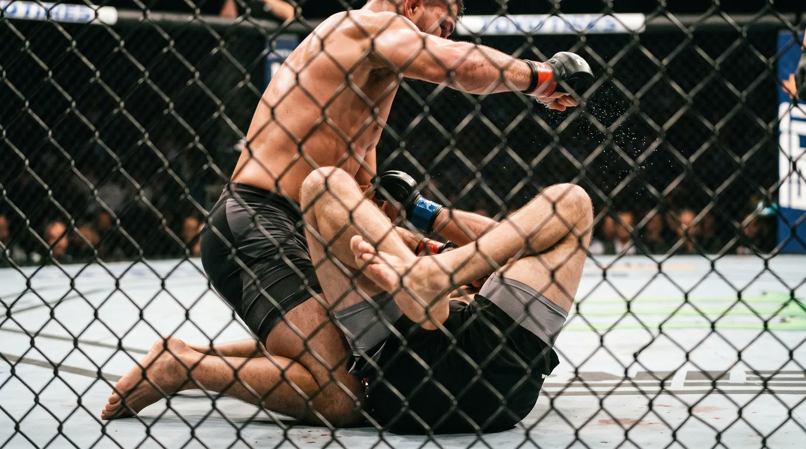 A lightweight fighter postures up in full guard and throws ground and pound late in a close fight