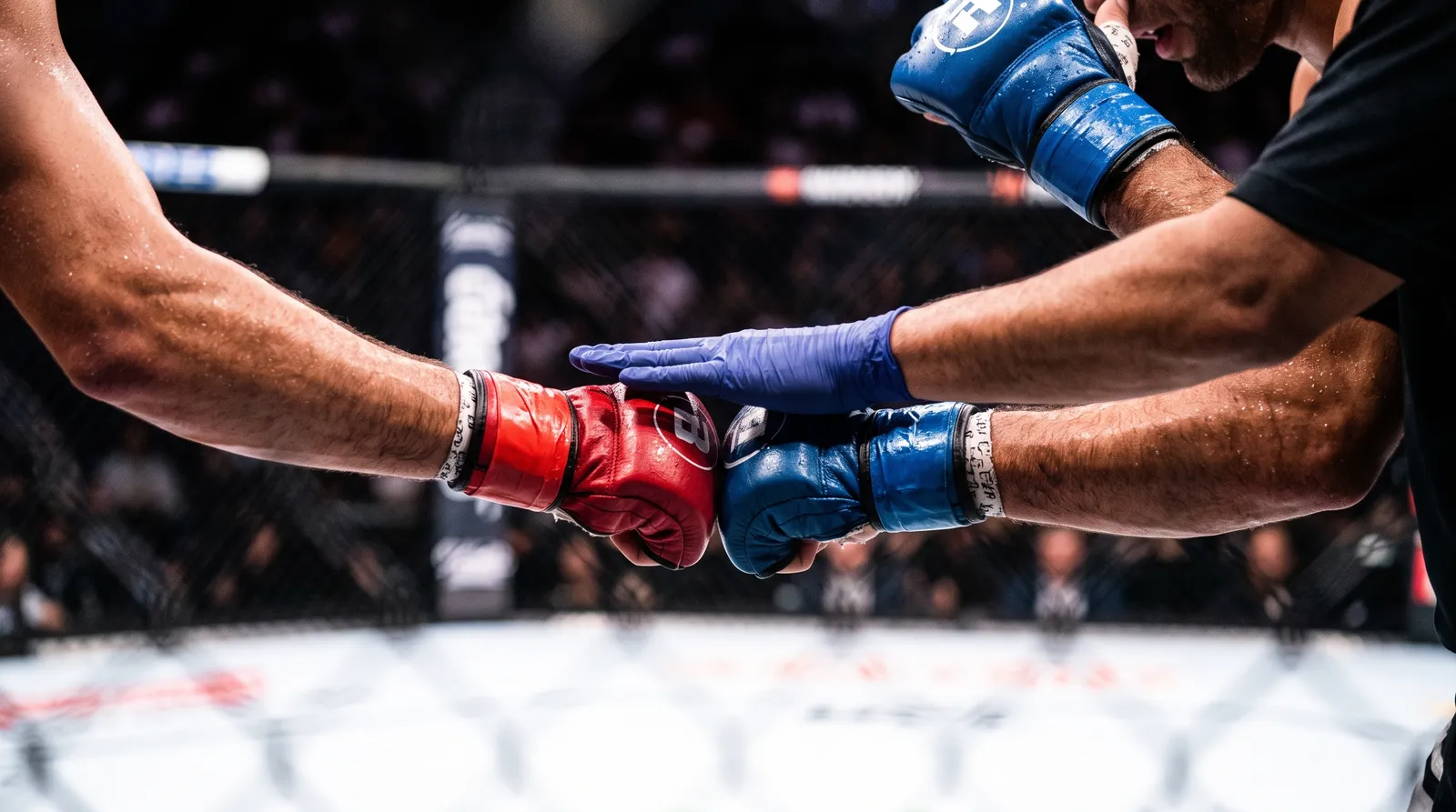 A referee's hand separates two fighters' gloves in the center of the octagon