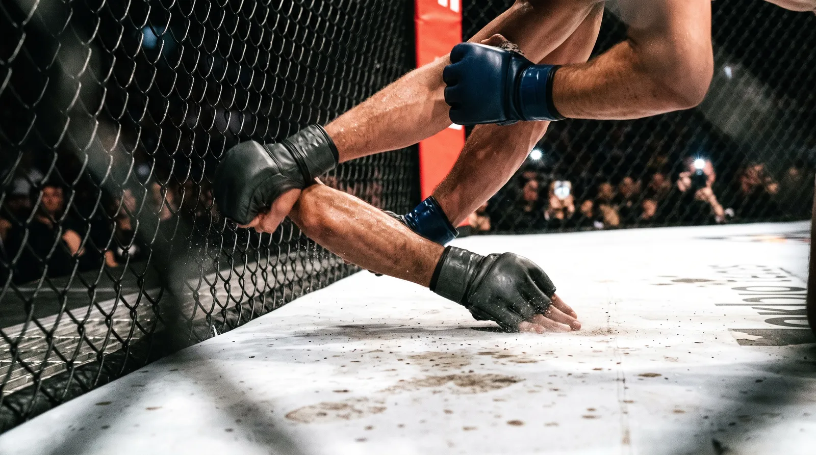 A gloved hand taps the octagon canvas during a submission against the fence