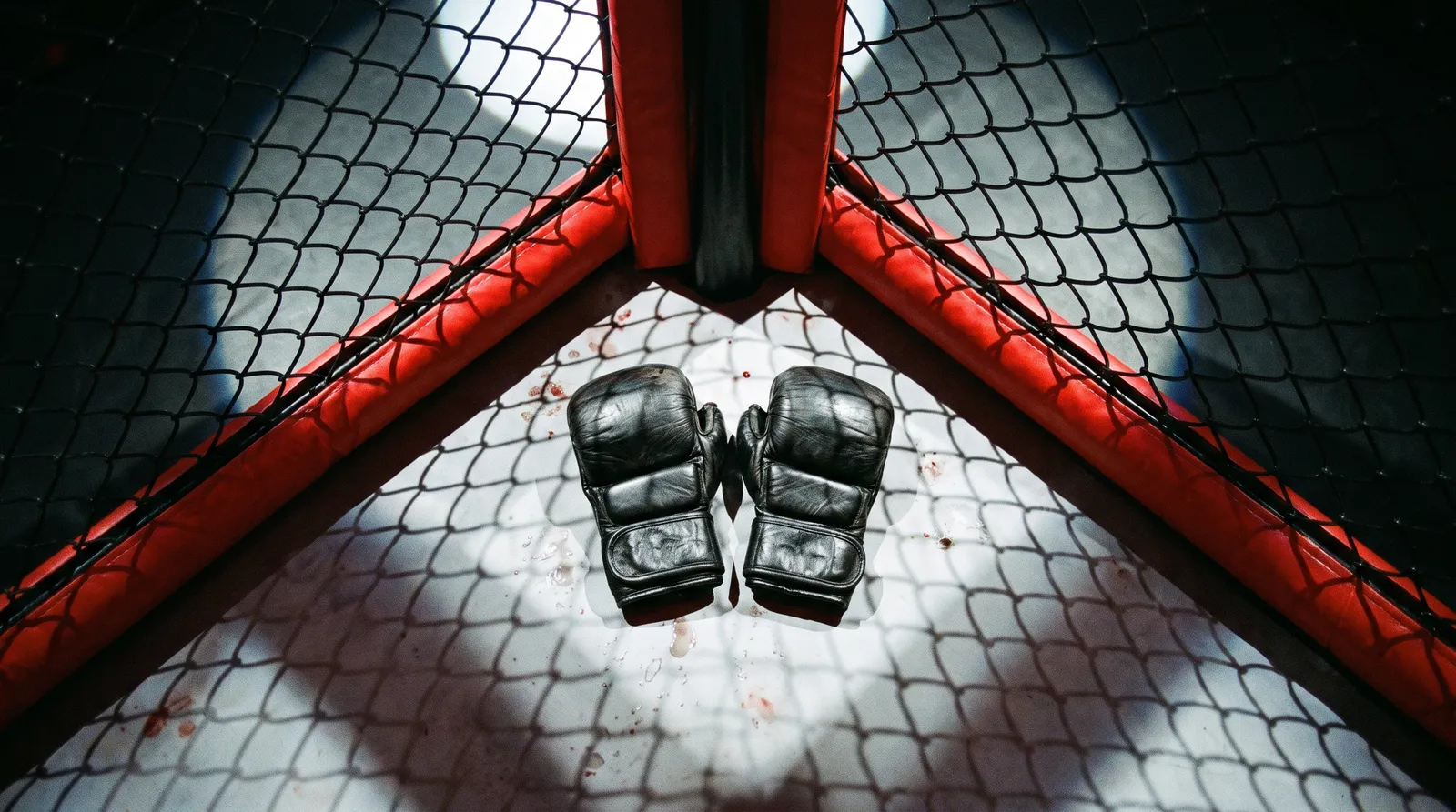 A pair of MMA gloves resting on the octagon canvas under arena lights
