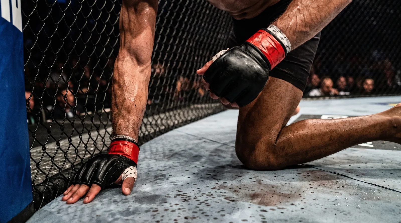 Two fighters' arms and legs tangled in a scramble against the octagon fence under bright arena lights