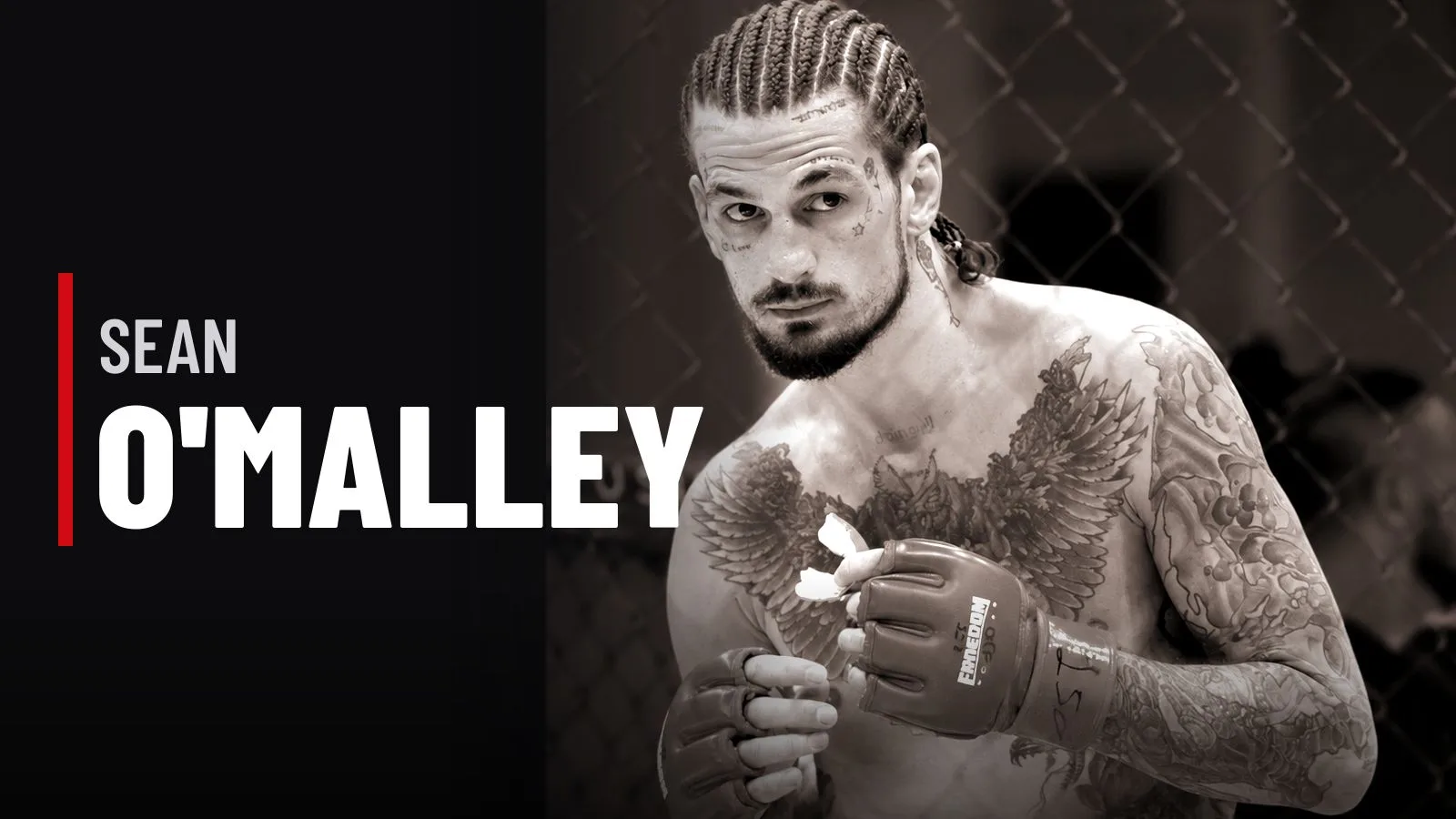 Sean O'Malley