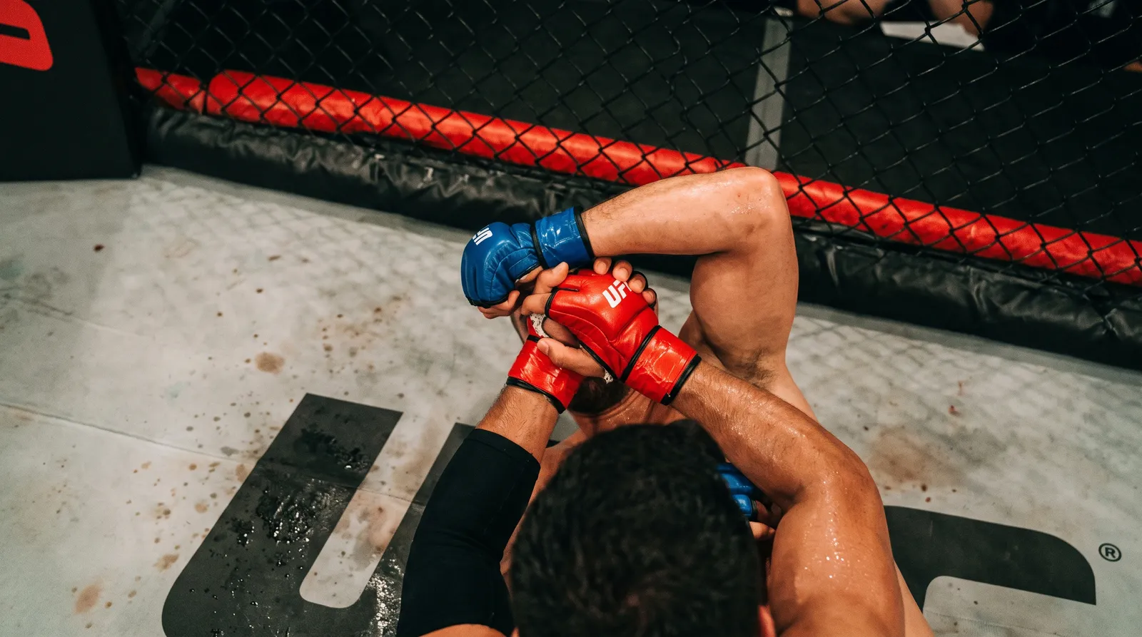 Overhead view of two fighters' gloved arms locked in a kimura on the octagon canvas