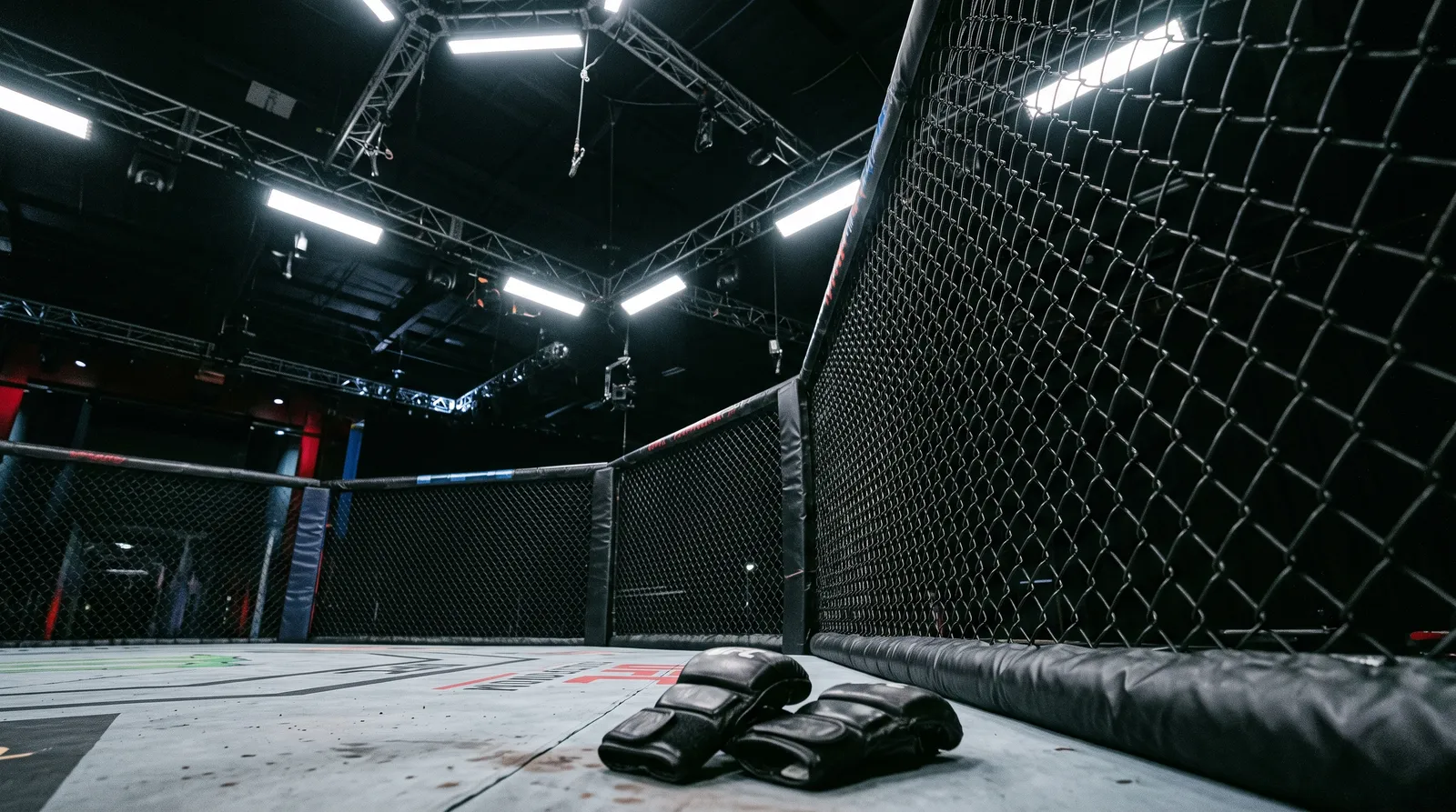 MMA gloves resting on the canvas of an empty octagon under bright work lights