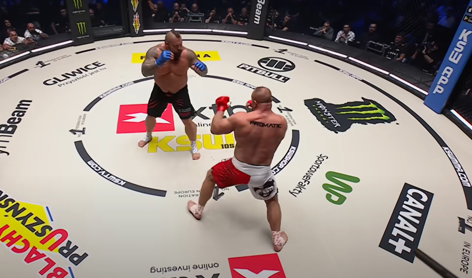 pudzinovski vs eddie hall